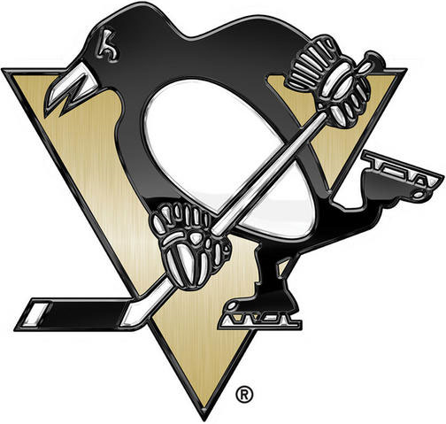 Pittsburgh Penguins 2014 Special Event Logo DIY iron on transfer (heat transfer)